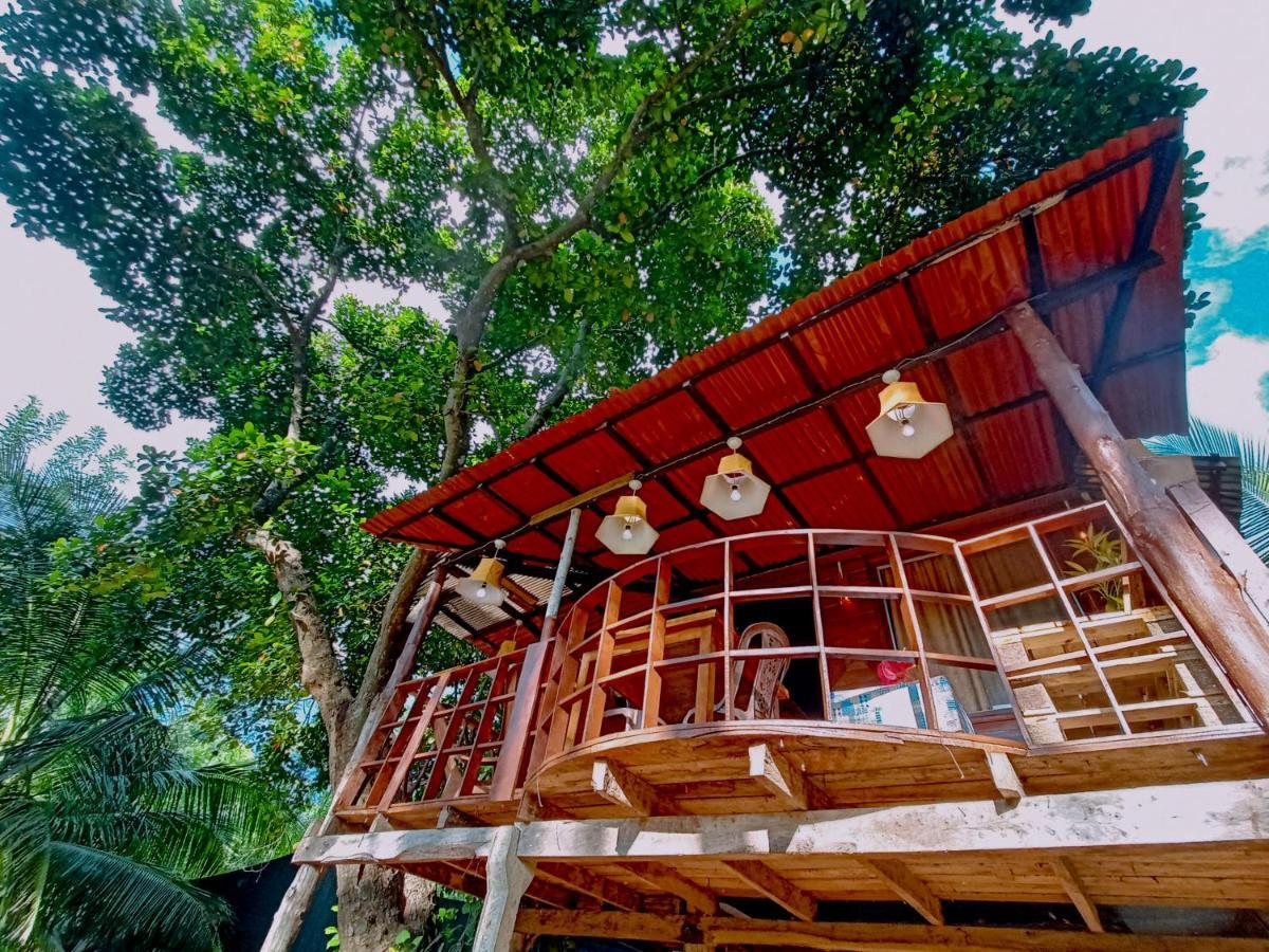 Experience The Comforts Of An Amazing Treehouse Sigiriya Buitenkant foto